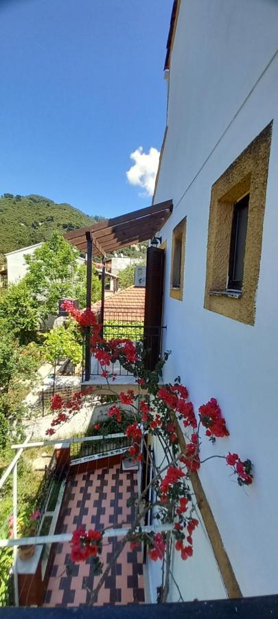 Nikis Apartments Agios Gordios  Exteriér fotografie